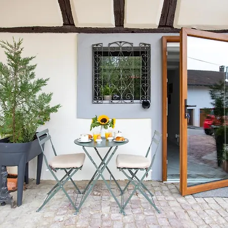 Διαμέρισμα L'oree , Romantique Pour Couples, Nature, Randonnee, Jura Alsacien , Sundgau, Proche Salles De Mariages, Route De La Carpe Frite, Route Des Vins D'alsace, Acces Facilite Pour Chaises Roulantes, Parking Gratuit, Borne De Recharge Vehicule Elect Ligsdorf
